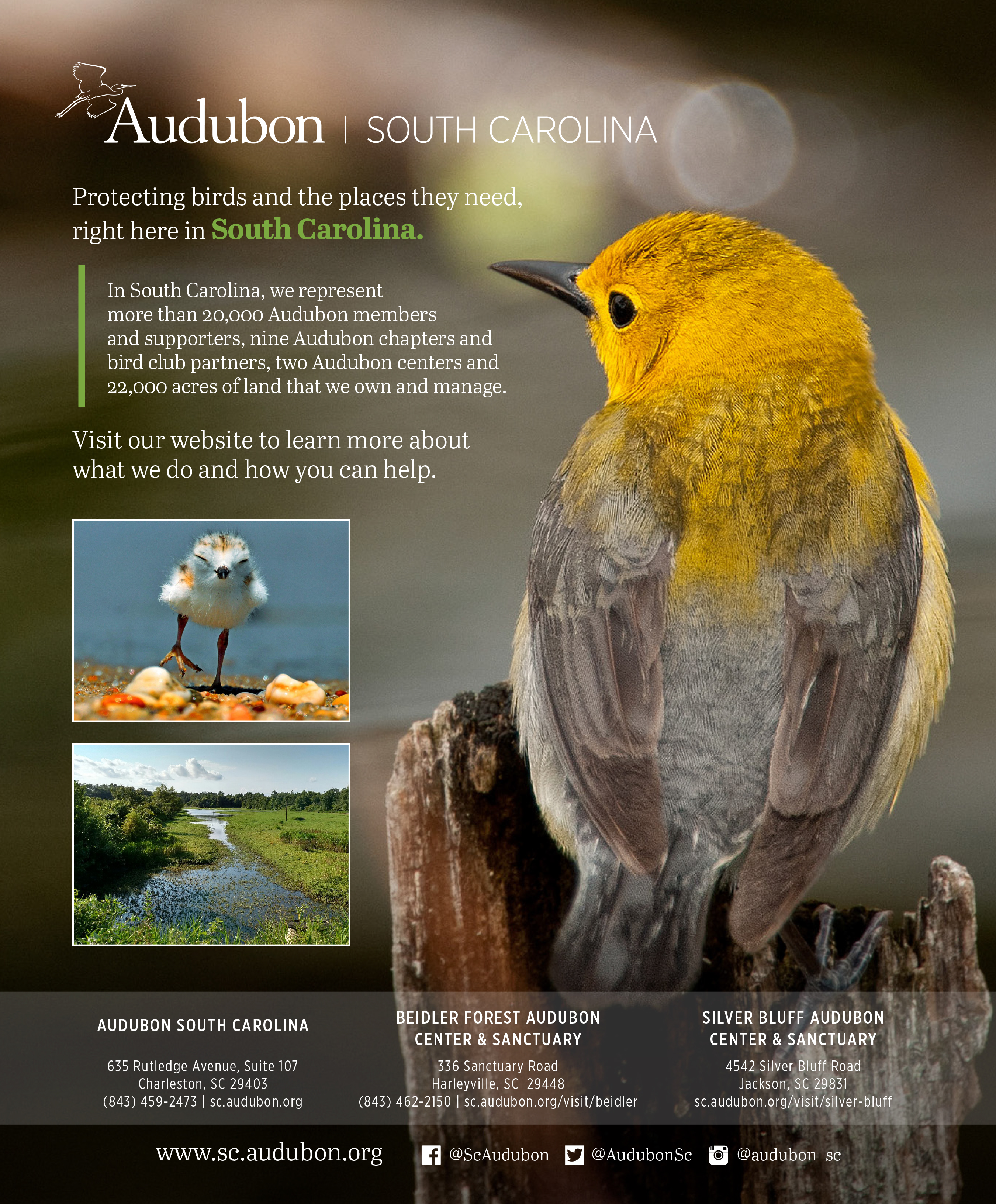 Visit <a href="https://sc.audubon.org/">https://sc.audubon.org/</a>