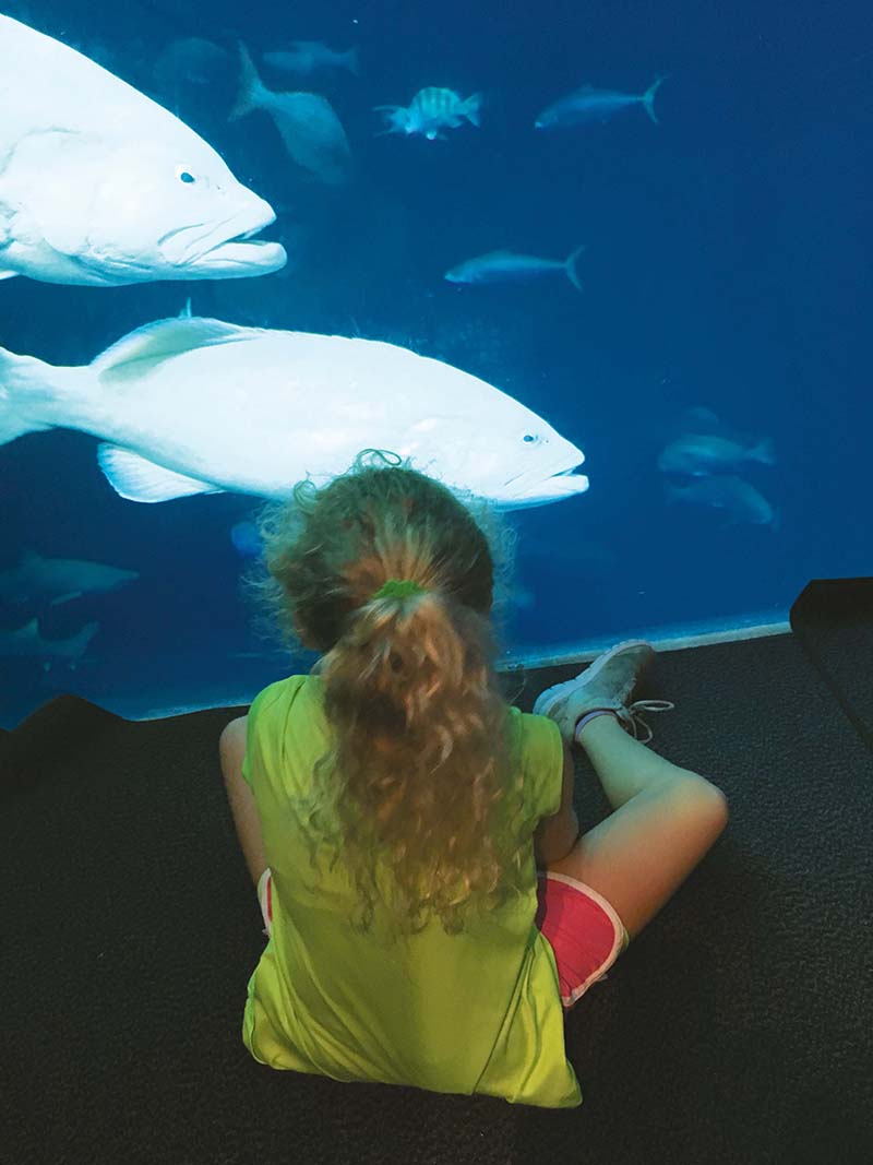 South Carolina Aquarium - Charleston SC