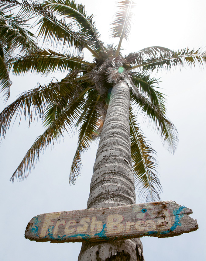 On Elbow Cay, businesses are marked not by addresses but signs nailed to trees