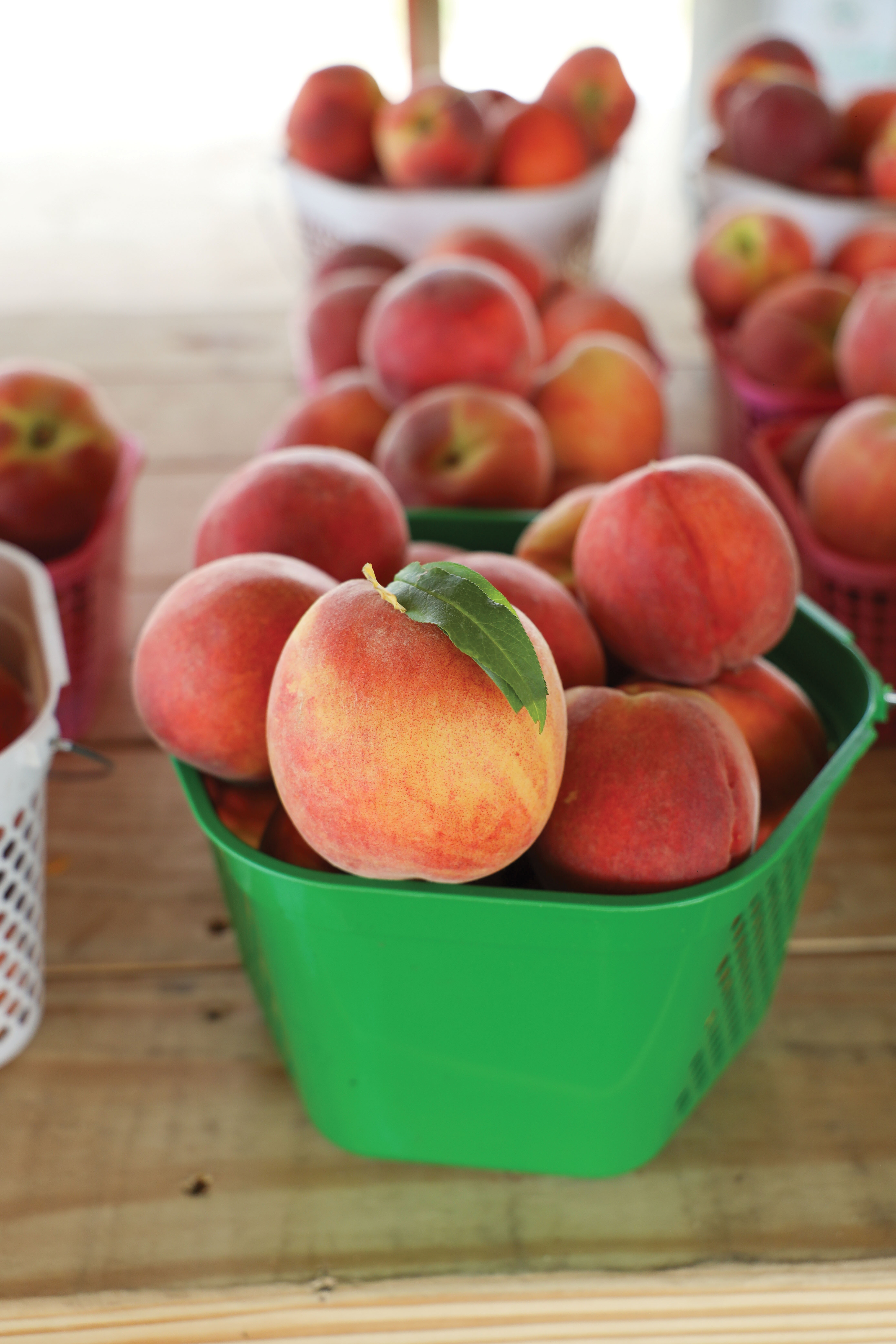 Find Shuler peaches at the farmstand in Ridgeville and at the Mount Pleasant and downtown farmers markets.