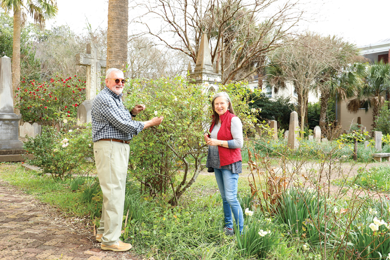 At The Unitarian Church, local Noisette rose aficionado Elizabeth Ilderton is helping Robert Jontos identify rare varieties growing among the gravestones; they’ll be showcased in a new plan for the historic garden.