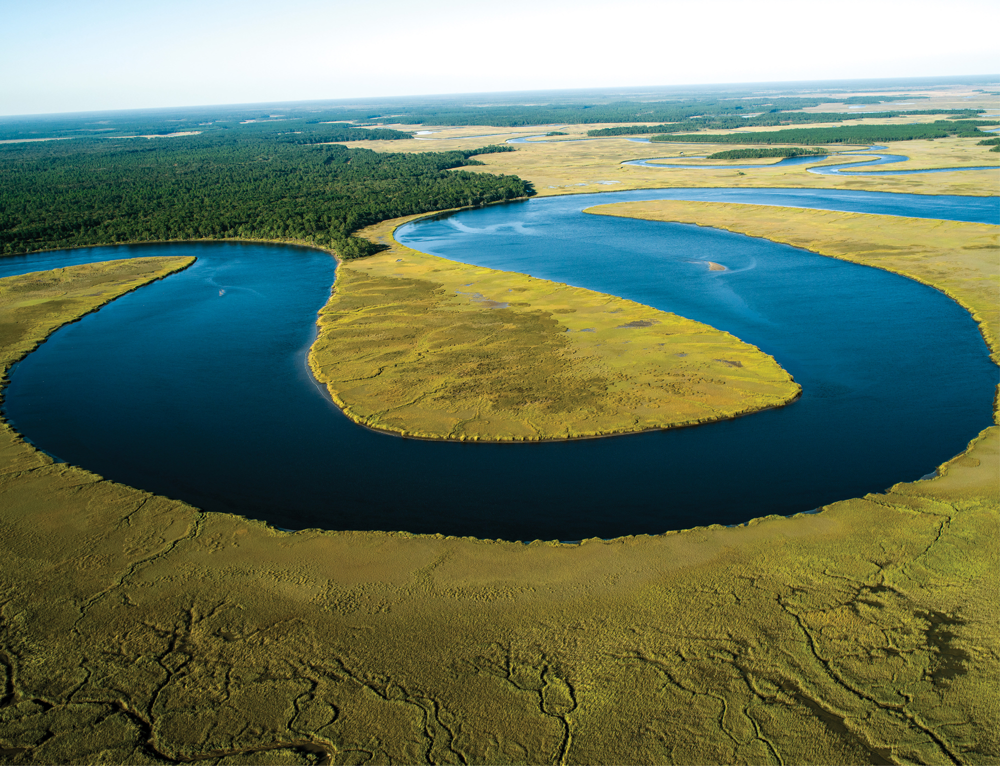 Wetlands on Combahee River  (Beaufort; October 14, 2015)