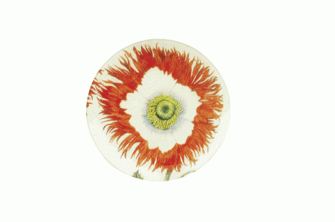 Poppy Decoupage glass plate by Twigs &amp; Moss ($88) Vieuxtemps