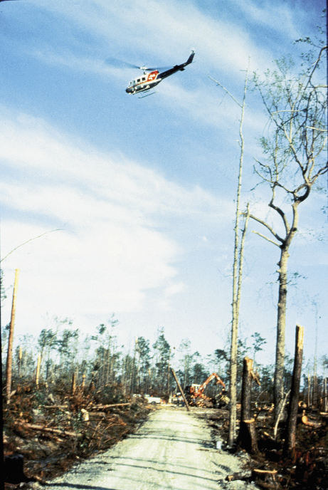 Westvaco (now MeadWestvaco) used helicopters to survey its decimated timberland. According to the National Weather Service, Hugo felled more than one billion board feet of lumber in the Francis Marion National Forest, permanently ending logging operations there.