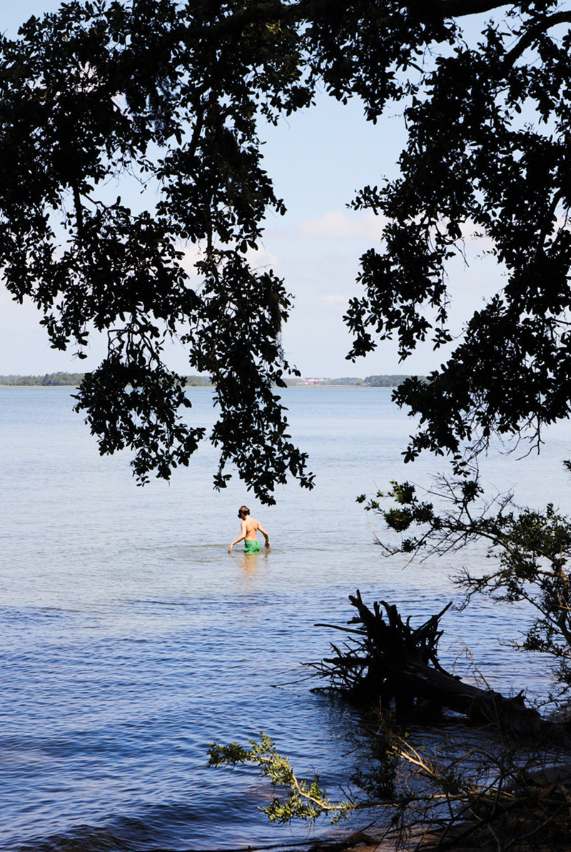 A swimmer in Port Royal Sound.