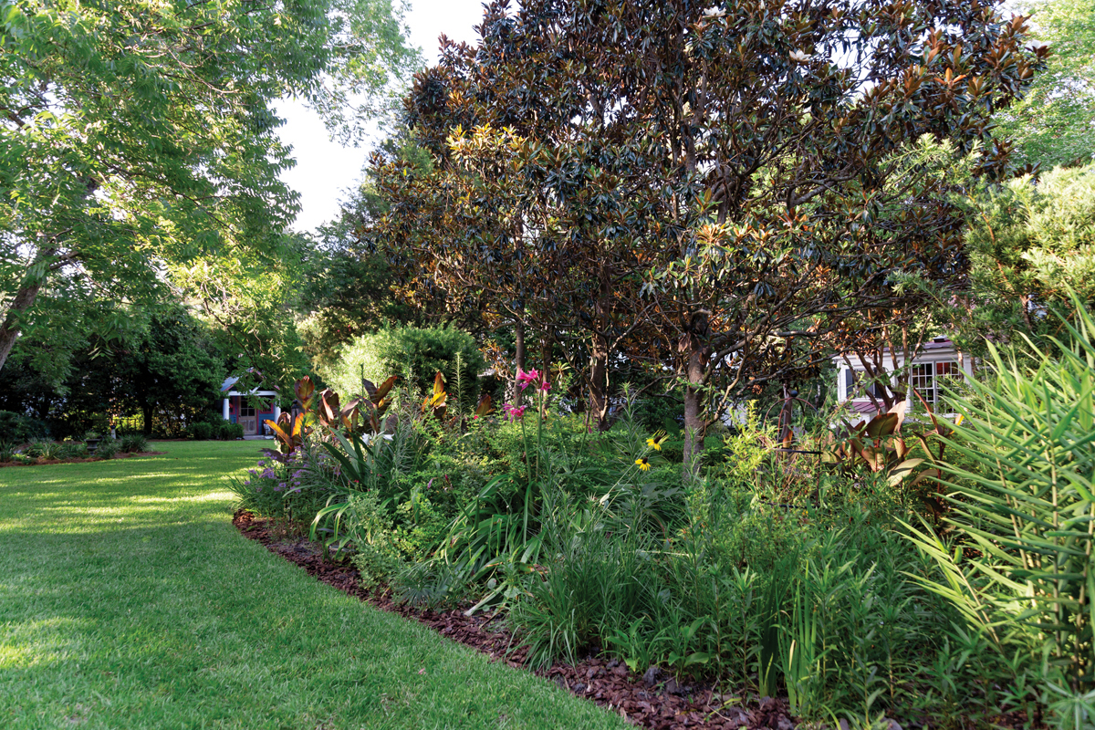 All the Buzz: Behind the pool, a bed of pollinator plants—including giant coneflowers, crinum lilies, and bee balm—curves beneath ’Little Gem’ magnolia trees.