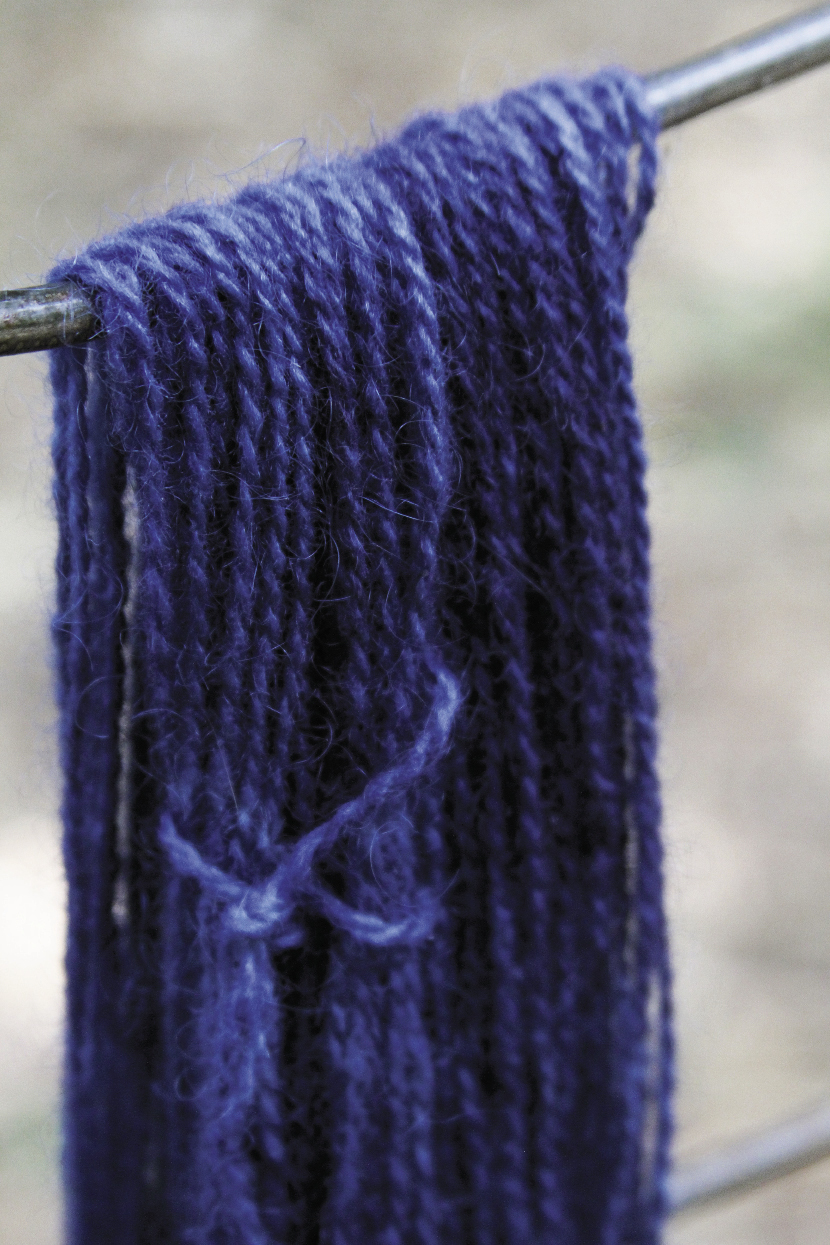Yarn dyed to a vibrant hue in a fresh-leaf vat using the Indigofera suffruticosa that Donna grew last summer