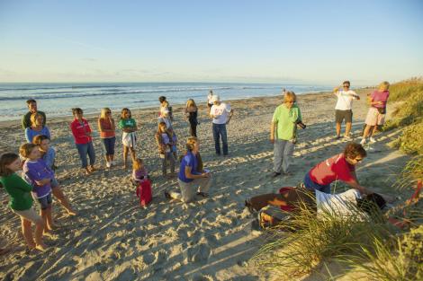 Onlookers watch an Isle of Palms team inventory a “boiled” (or hatched) nest, looking for stragglers.