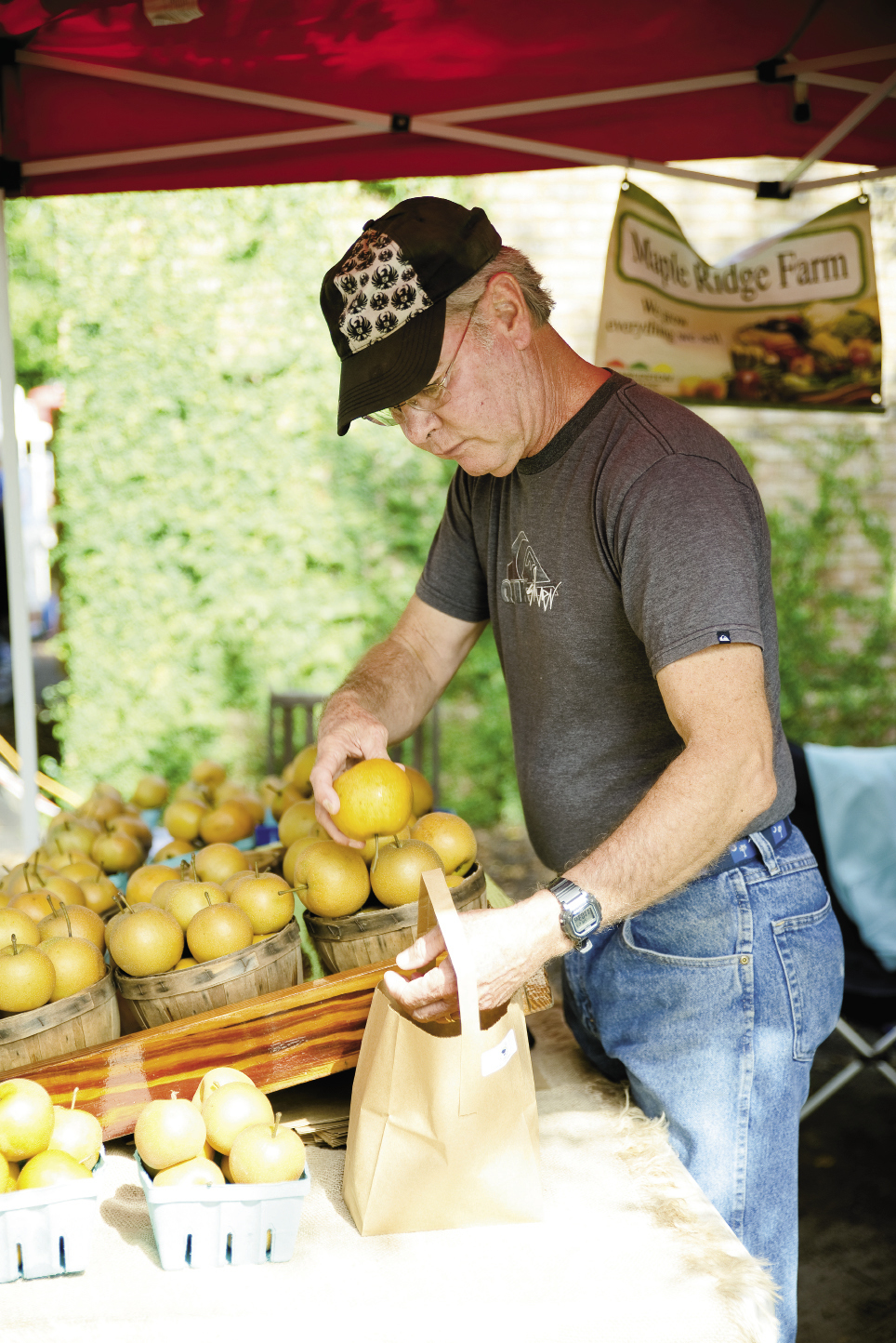 Fritz Aichele of Maple Ridge Farms bags up Asian pears
