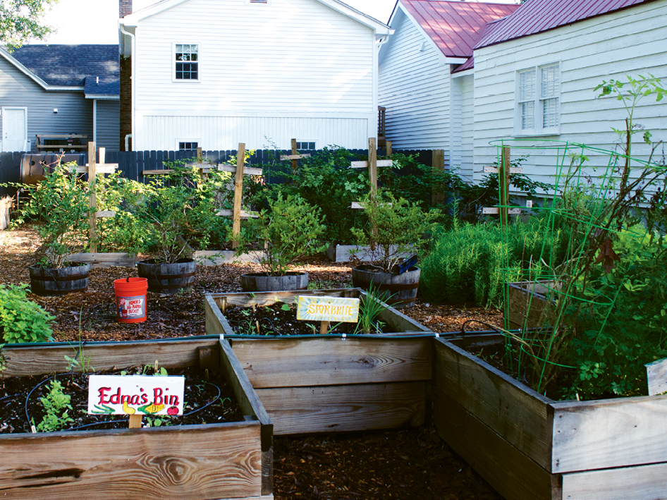 An early-autumn view of veggie-filled beds at Romney Urban Garden
