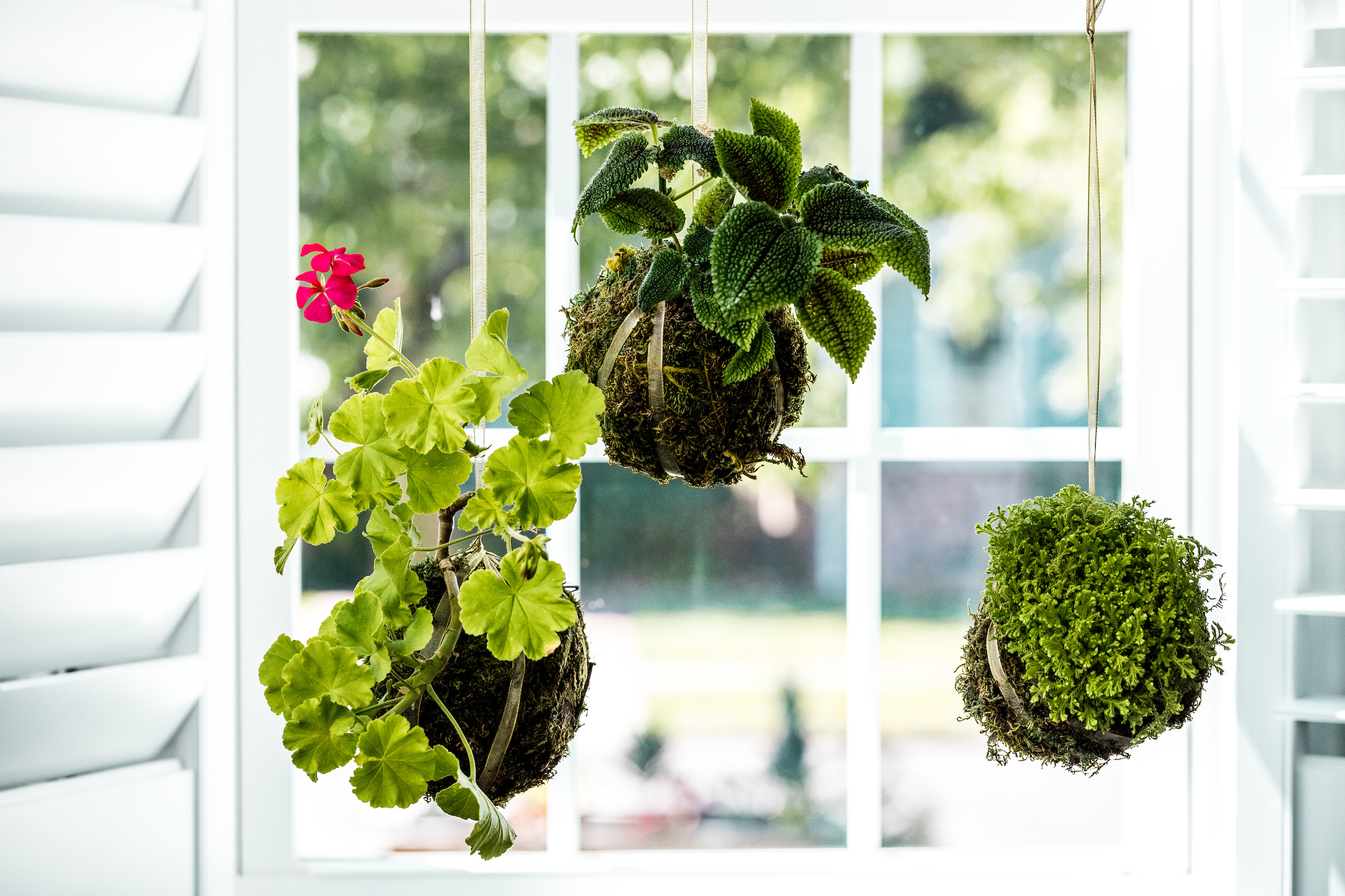 Once the moss is held securely by twine, add an extra layer of twine or decorative ribbon that can be used for hanging.
