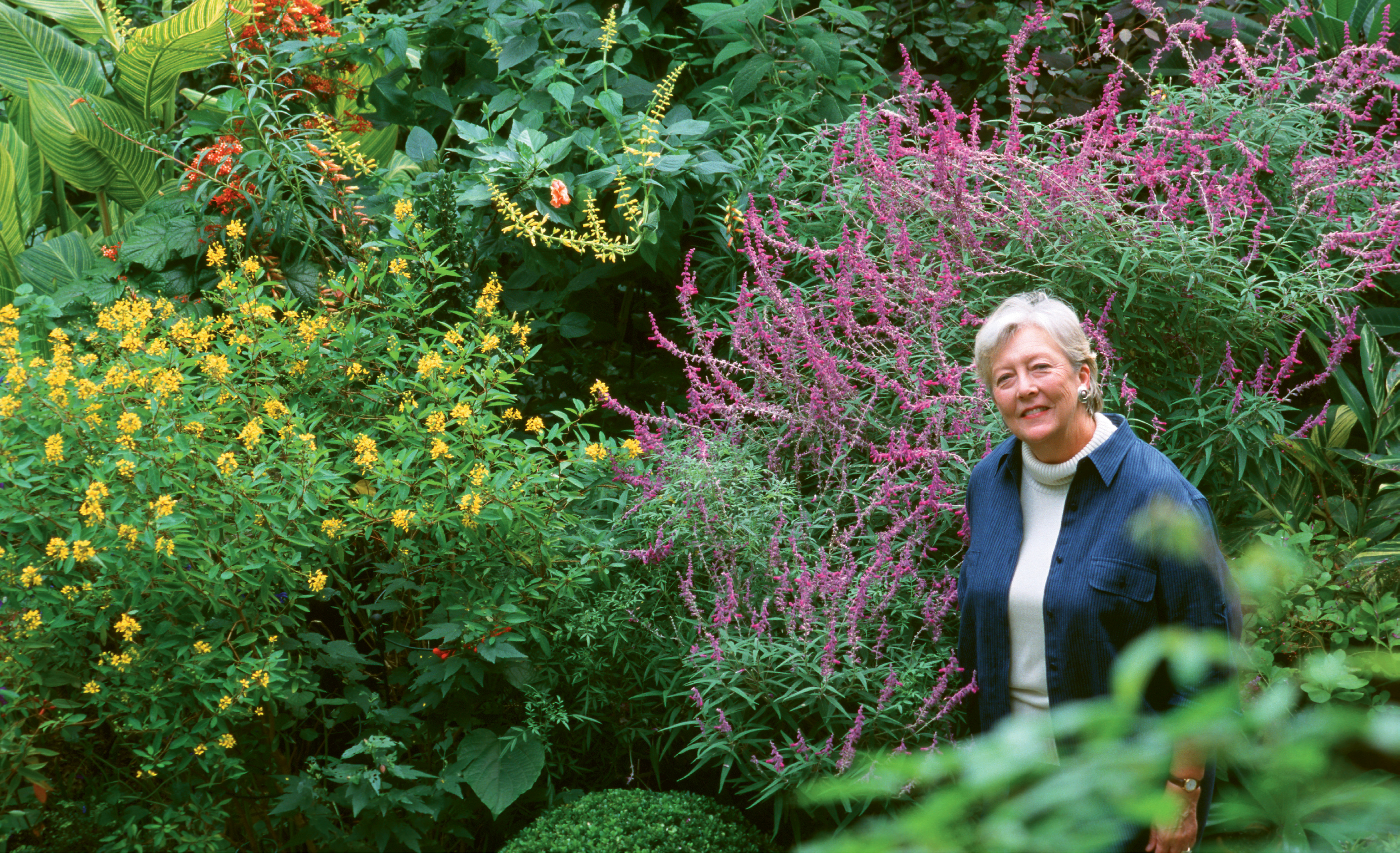 Patti McGee among the Mexican bush sage, butterfly weed, and Alpinia in her Ansonborough garden in 2003; photo by Virginia Weiler