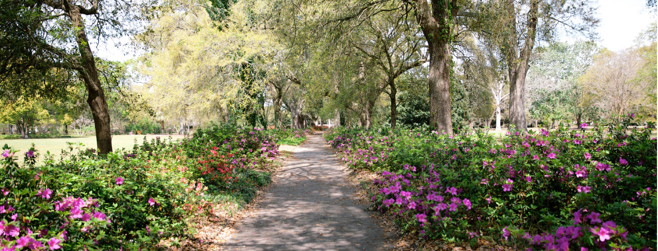 Potent Pathways: Designed in 1906 by Olmsted’s son John Charles, Hampton Park is one of the Messners’ favorite Lowcountry spots. “It just draws you in; the paths invite you to meander and explore, and that’s really the essence of a classic Olmsted design,” says Jenny.