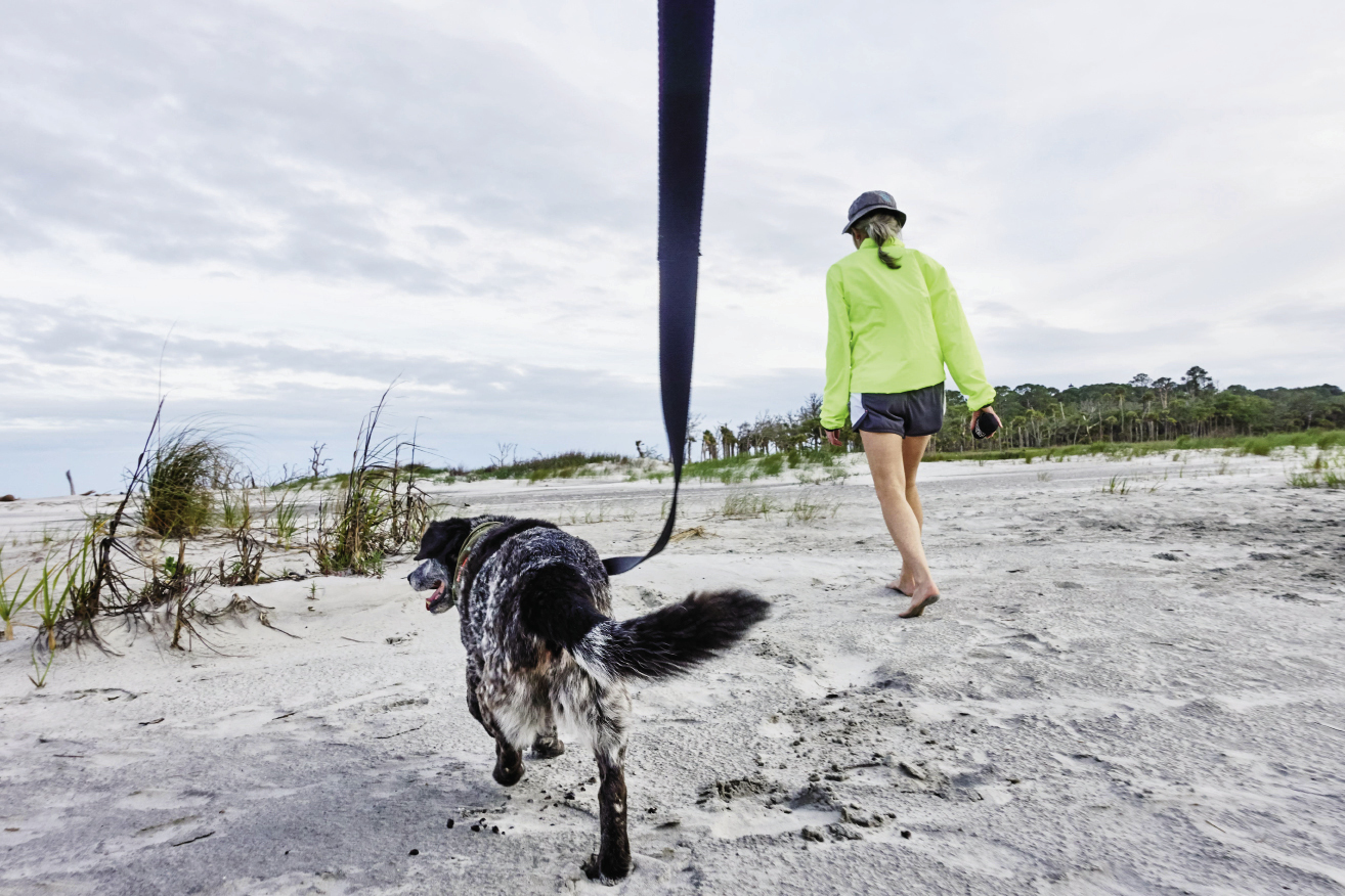 Hunting Island State Park: Sparky, the hound