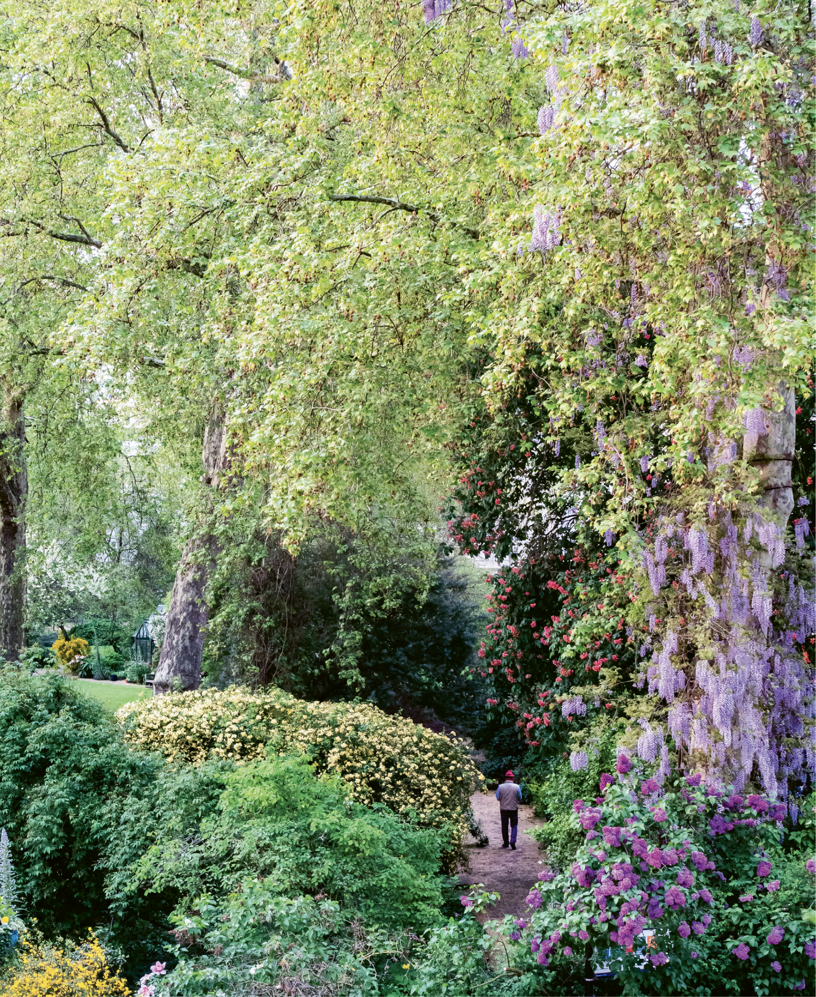 A pathway view of the gardens of Eccleston Square from the Eccleston Square Hotel