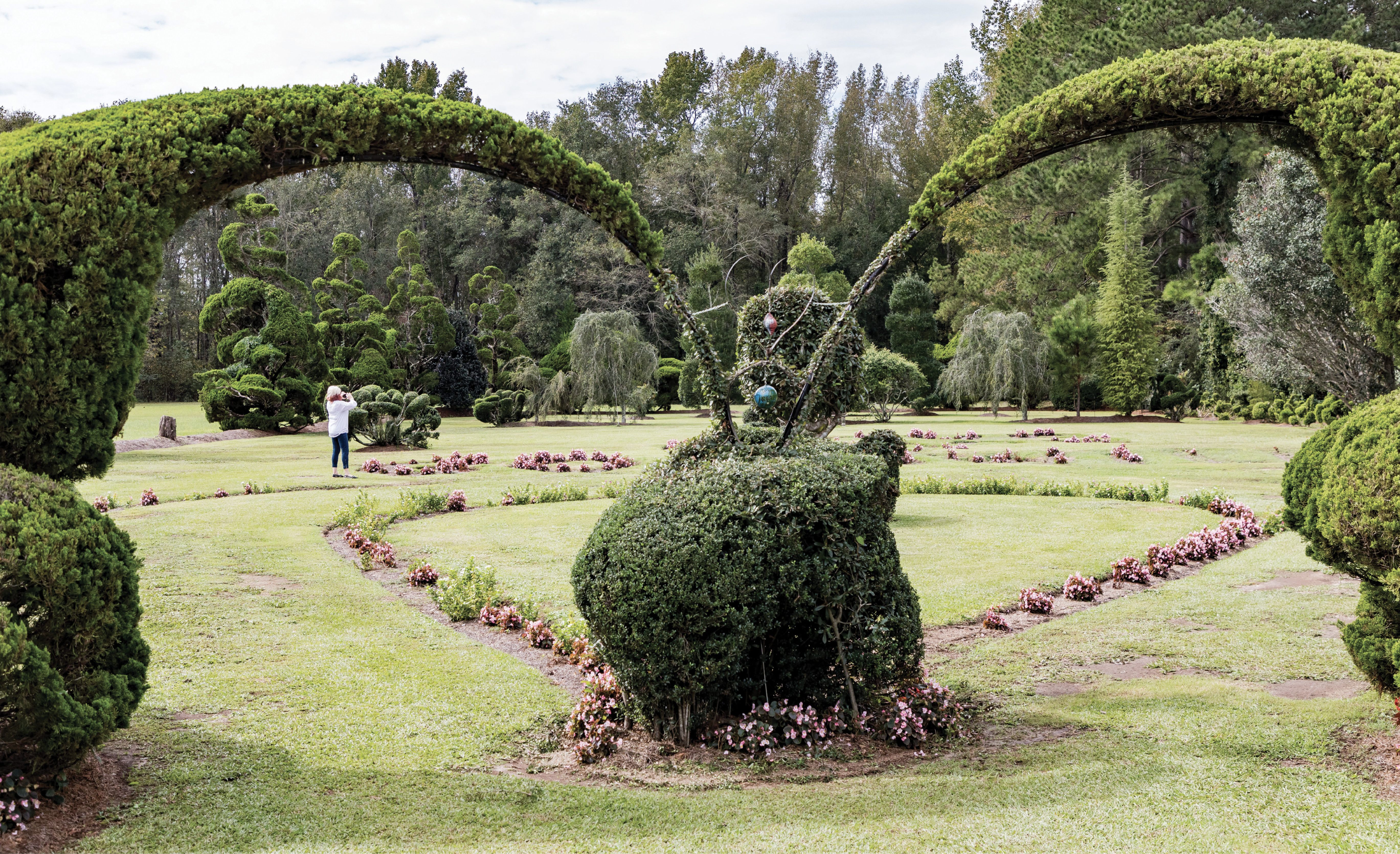 LOVE SPIRALS ON: Expressions of unity appear throughout the space. One planting spells out “LOVE, PEACE &amp; GOODWILL.” And by using PVC pipe and wire, Fryar encourages trees and shrubs to grow toward each other. “I like arches and fountains,” he says. The double arcs, shown here, help to create a heart shape.