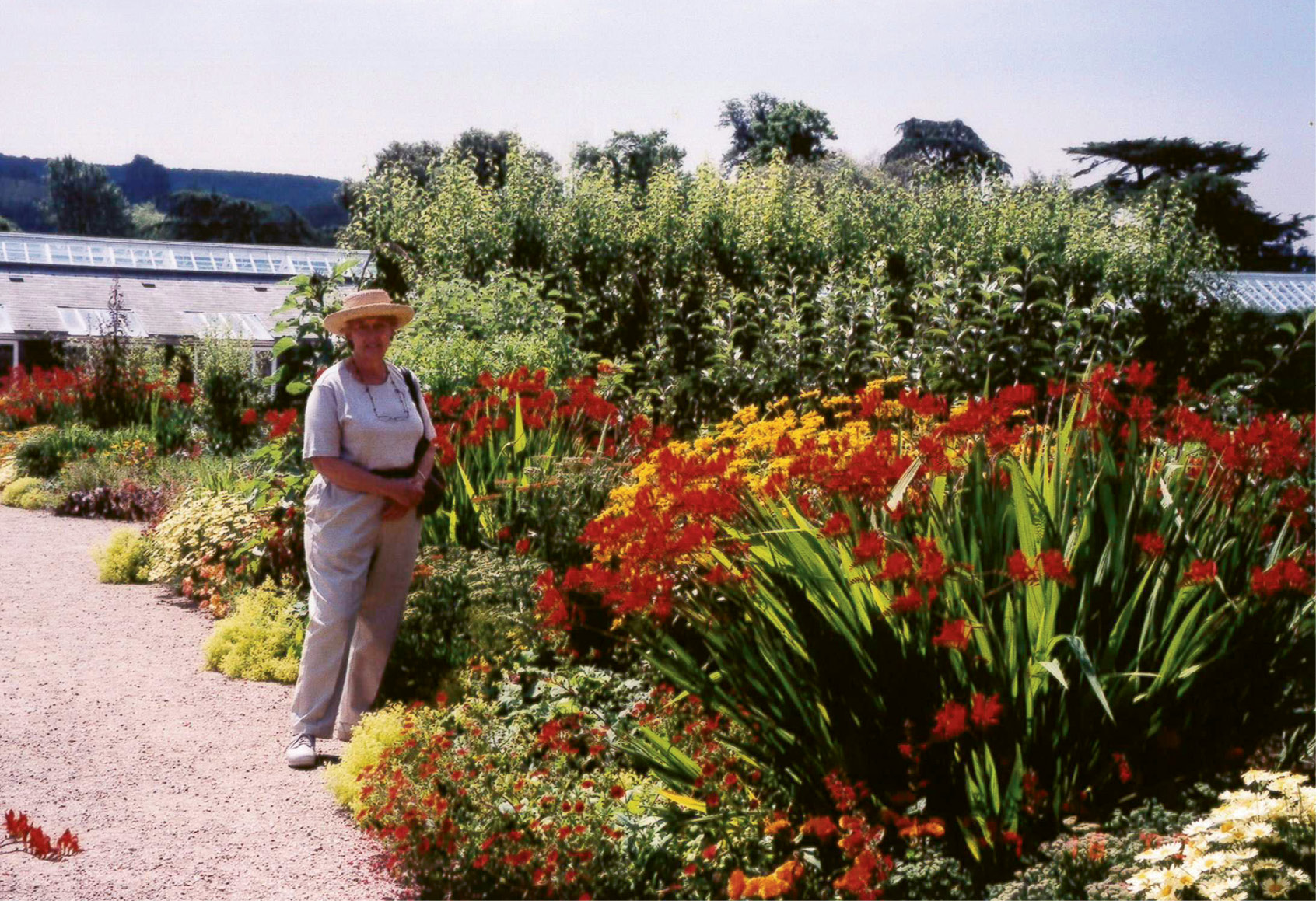 STUDY ABROAD: During the summer of 2000, Patti and Peter rented an English cottage that served as home base for a tour of gardens in Britain, including one in West Sussex