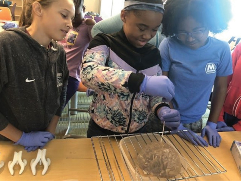 The initiative inspires middle school girls to consider careers in science, technology, engineering, and math.