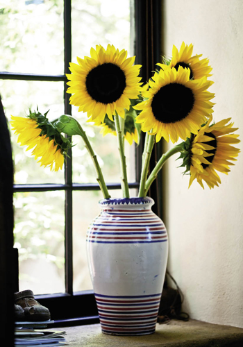 Sunflowers give a nod to the central Italian countryside.