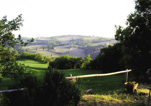 The farmhouse overlooks rolling hills of vineyards, many of which grow grapes for Brunello, the signature wine of Montalcino.