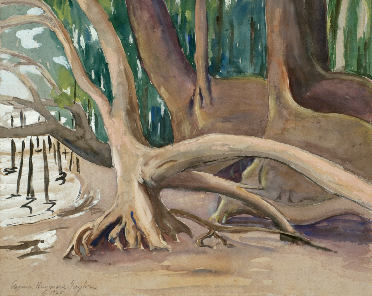 Untitled (Tree Trunks), a 1920 watercolor, represents the artistic freedom she experienced on her second visit to the colony..