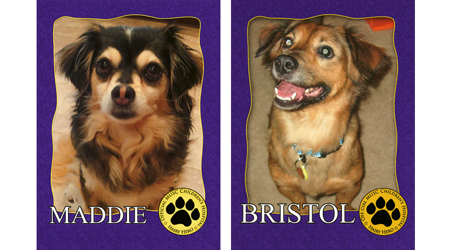 All of MUSC&#039;s therapy dogs have trading cards for kids to collect. To donate, visit <a href="http://www.musc.edu/giving/pet">www.musc.edu/giving/pet</a>.