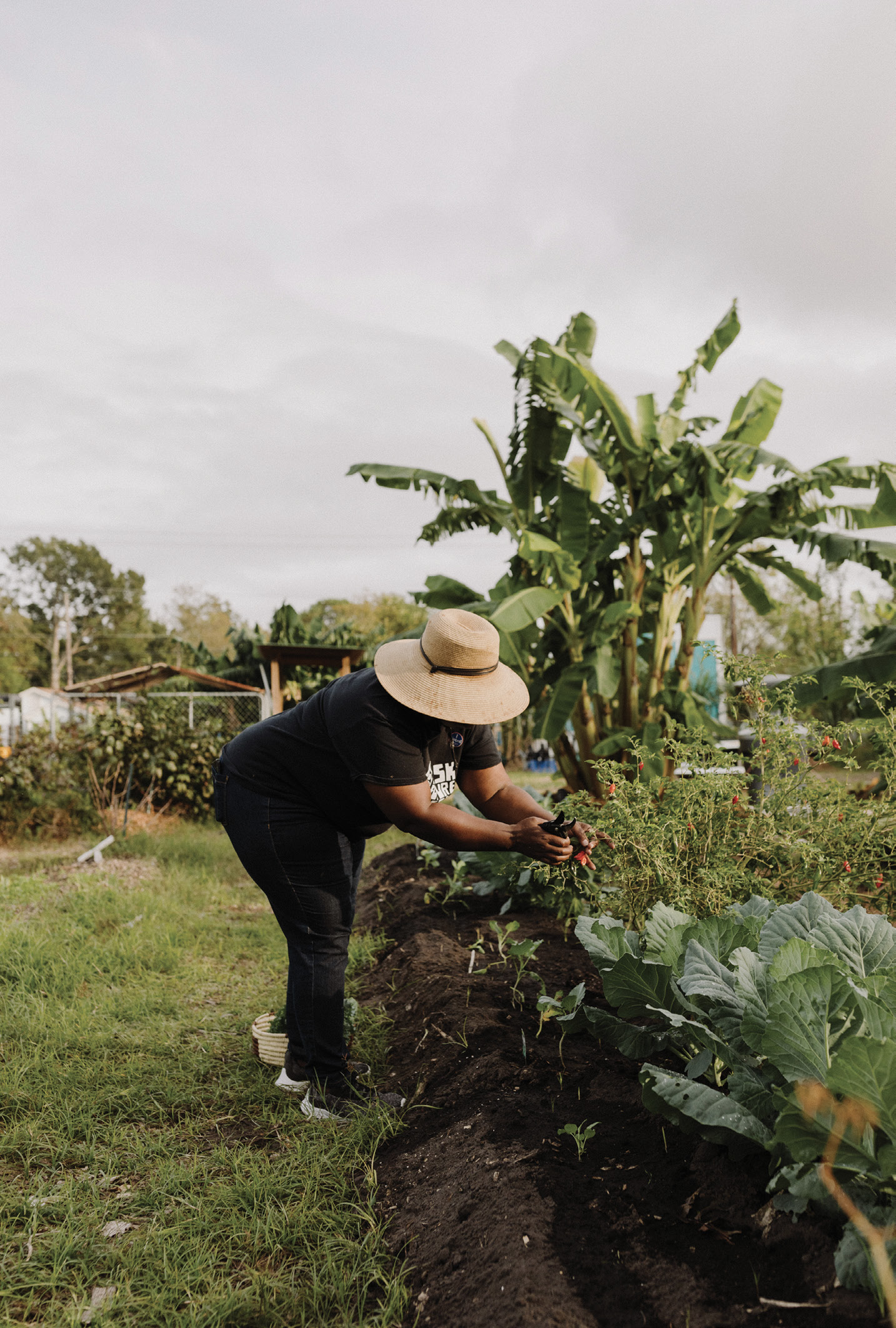 Green Thumb: Jenkins enjoys the hands-on, and nonstop, work of urban farming, from composting to planting to weeding and harvesting, but mostly she enjoys sharing her passion for a regenerative movement—one that breaks the cycle of poverty through growing health, jobs, and wealth.