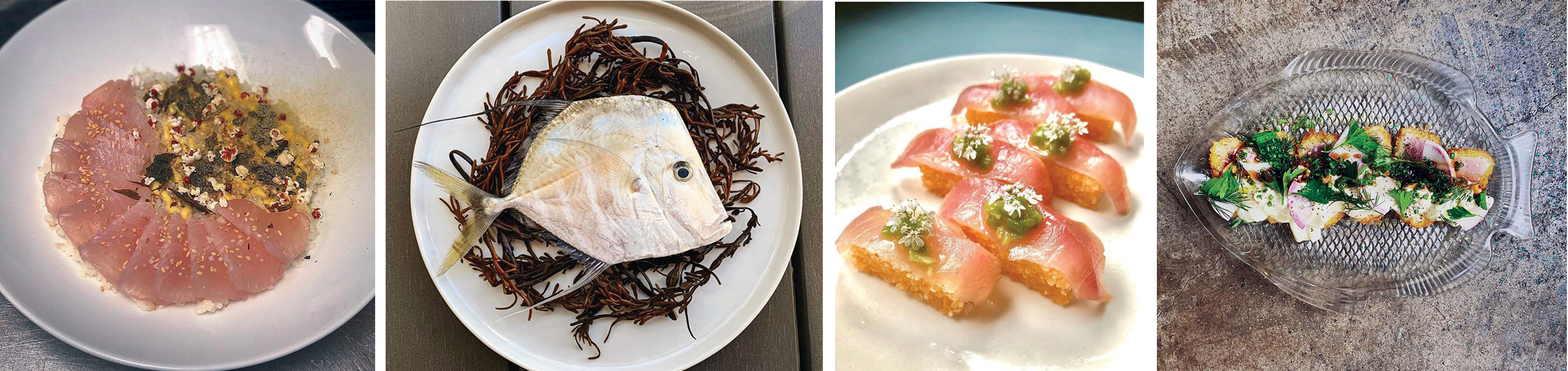 Chefs and restaurants proudly share their Abundant Seafood catches and compositions on their Instagram feeds: (left to right) king mackerel with Carolina Gold rice middlins and popped sorghum at FIG, a whole lookdown jack destined for someone’s dinner at Delaney Oyster House, banded rudderfish at Chubby Fish, and albacore tuna katsu at Jackrabbit Filly