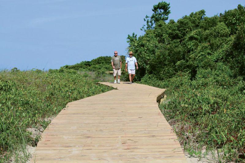 Follow the Sullivan’s Island Nature Trail through maritime forest and along sunny boardwalks ...