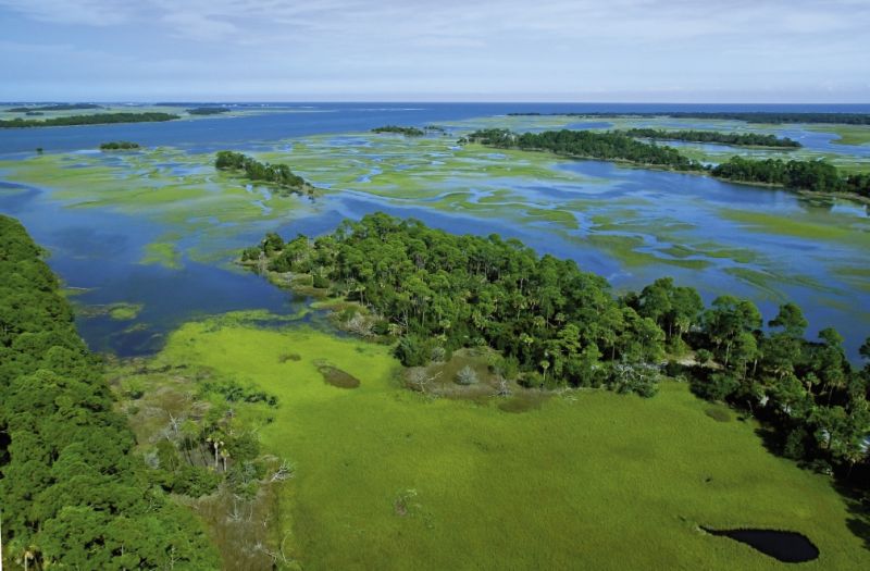 Tailing flats—hard bottomed grass flats that flood when high tides exceed six feet—can be seen easily from the air. Google Earth works well enough when a helicopter isn’t available.