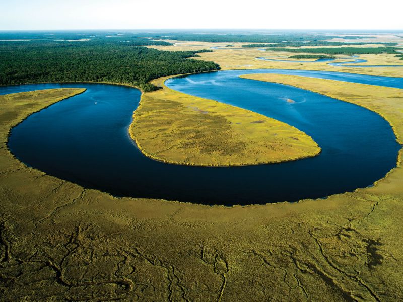 Fields Point and Combahee River Wetlands (Fields Point, Combahee River, Wiggins, 2025)  by J Henry Fairr