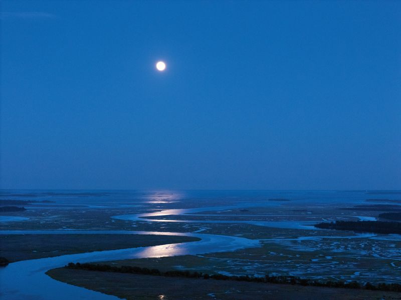 Moonrise over the Combahee River by J Henry Fair (Paul &amp; Dalton Plantation, Yemassee, 2025)