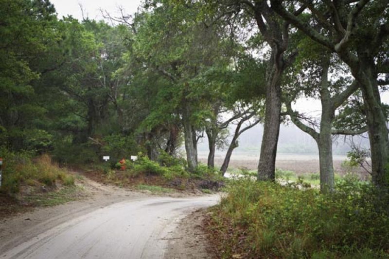 A sandy path leads to the island’s northern tip, where clamming adventures, and resulting muddy knees, await.