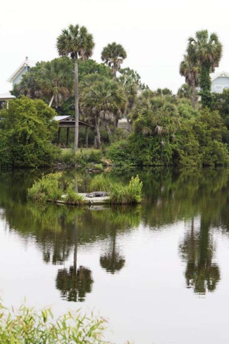 Natural views, also a Dewees delicacy, are plentiful from porches and the island’s casual and tree-tucked elevated homes
