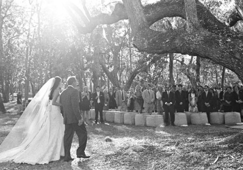 Gentle Approach:  The natural setting made Candice’s entrance all the more stunning.