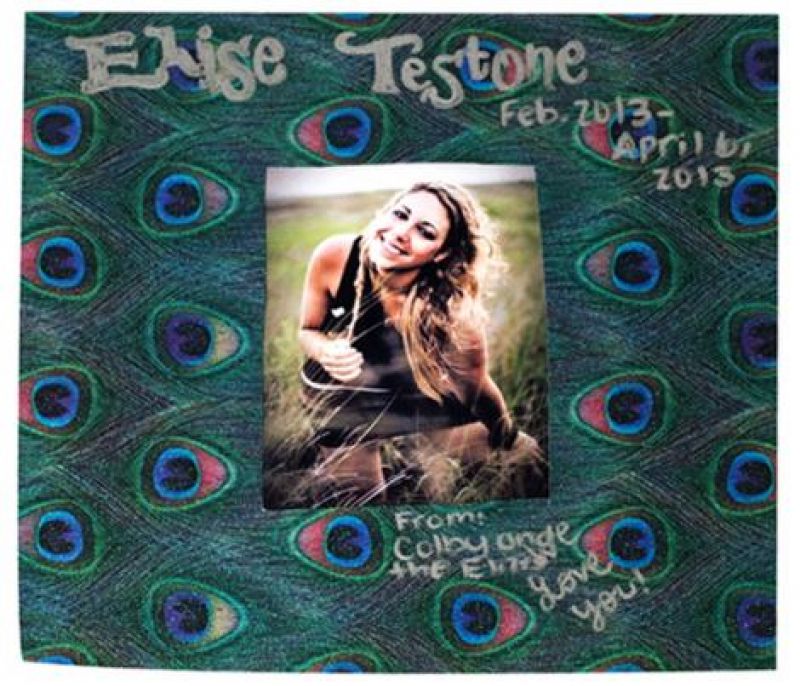 Elise Testone Scrapbook Pages