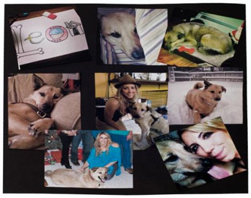 Elise Testone Scrapbook Pages
