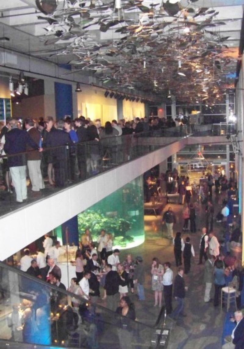 Aquarium.jpg