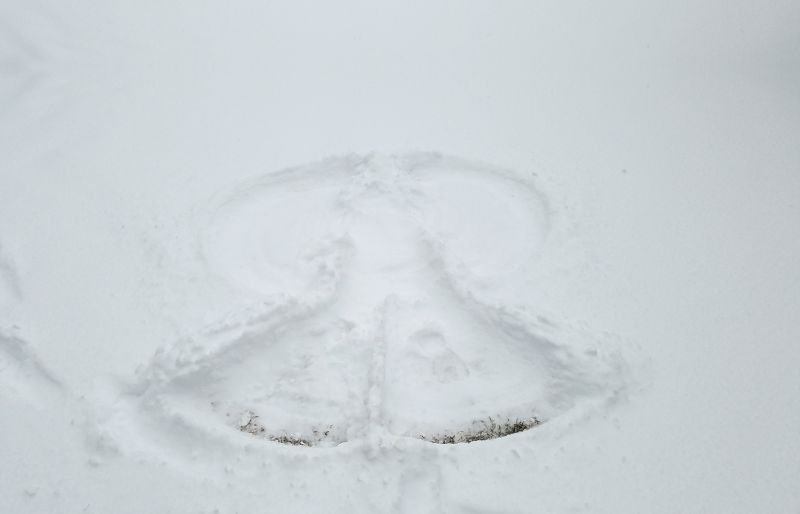 A bevy of snow angels made appearances throughout the region as well; <em>photograph by Brandon Clark</em>