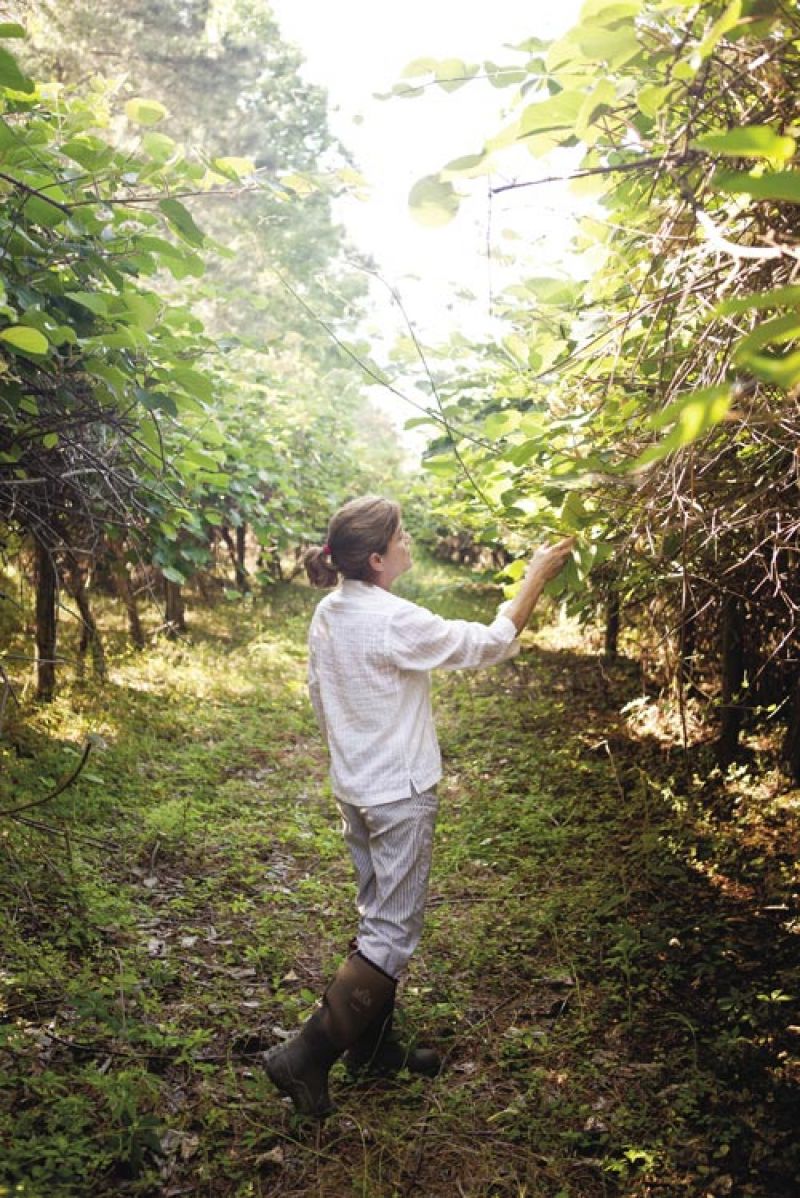 Photograph by Tim Moxley