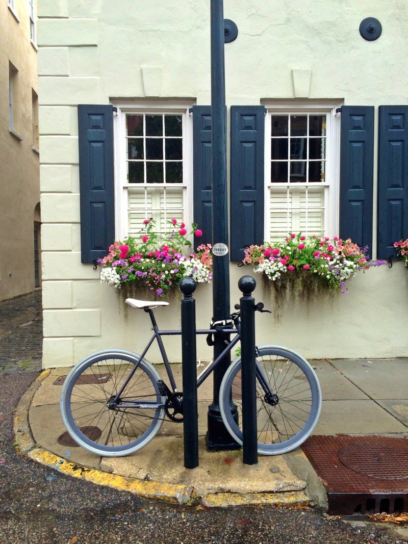 HONORABLE MENTION Professional category: Charleston Charm by Laura Hasemeyer; “Only the most charming city in the world! State Street, Spring 2014”