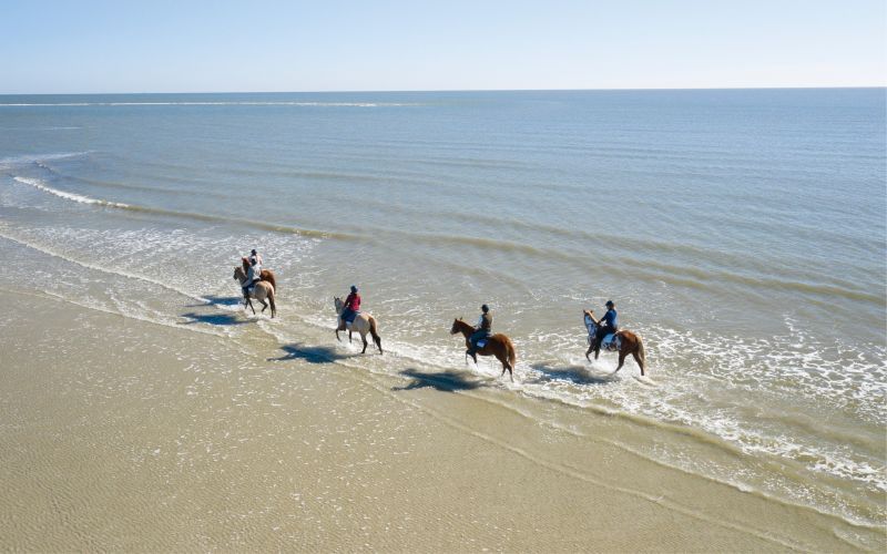 Trotting through the surf at Seabrook Island.