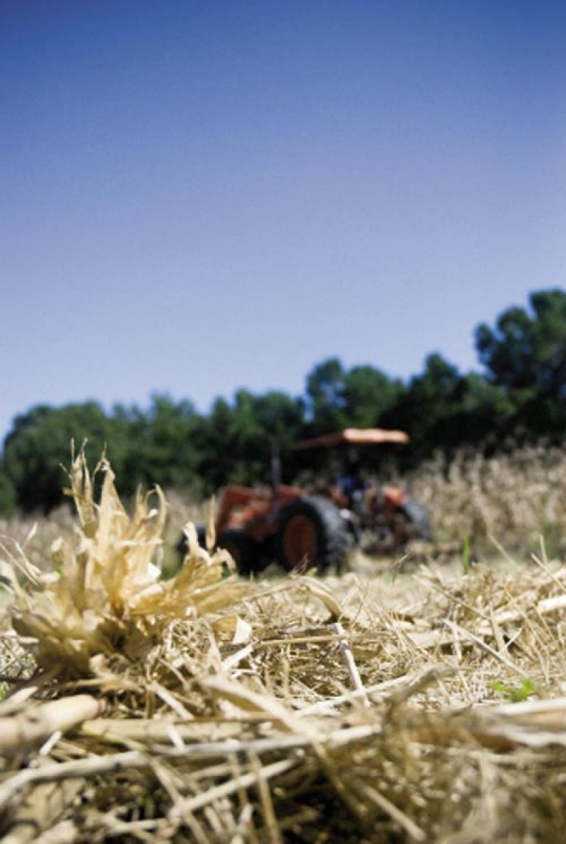 Photograph by Sarah Knowlton