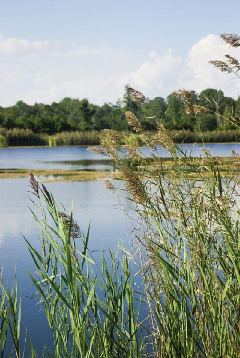 Photograph by Sarah Knowlton