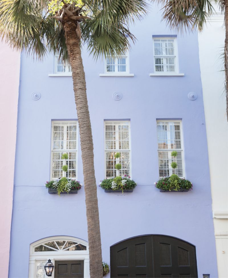 Green With Envy: Window-box topiaries on this Rainbow Row home complement the curving palmetto out front.