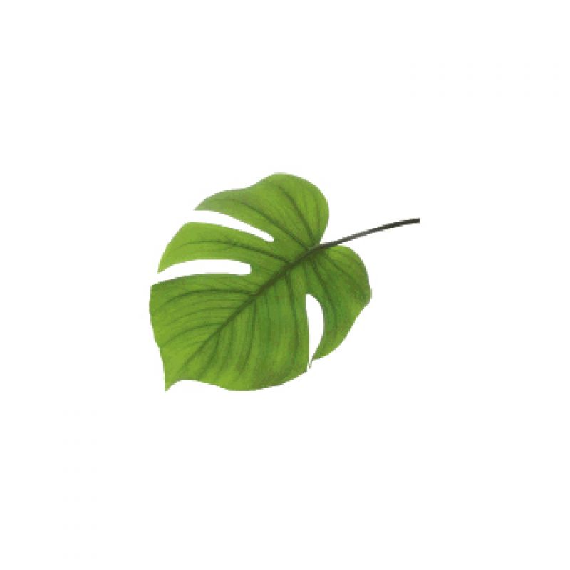 Keep the look fresh with vibrant foliage clippings from  your yard.