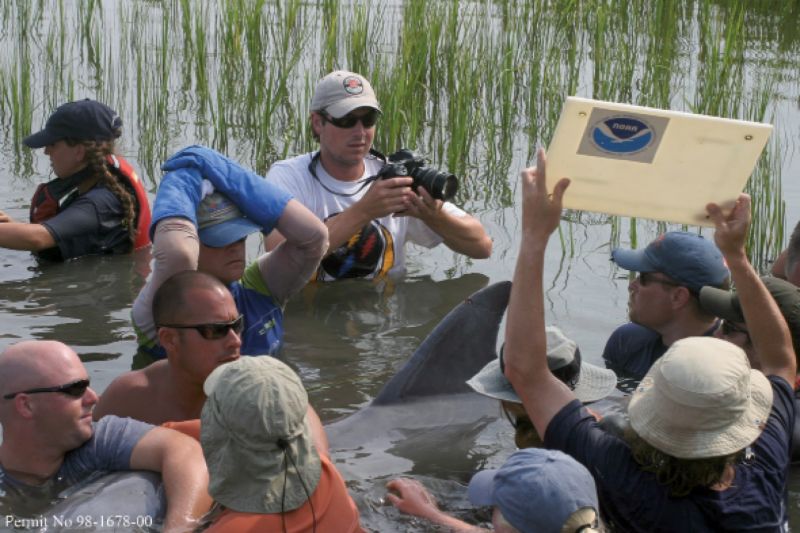 HERA capture-release team