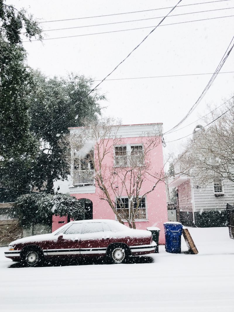 Photograph by Abby Tierney