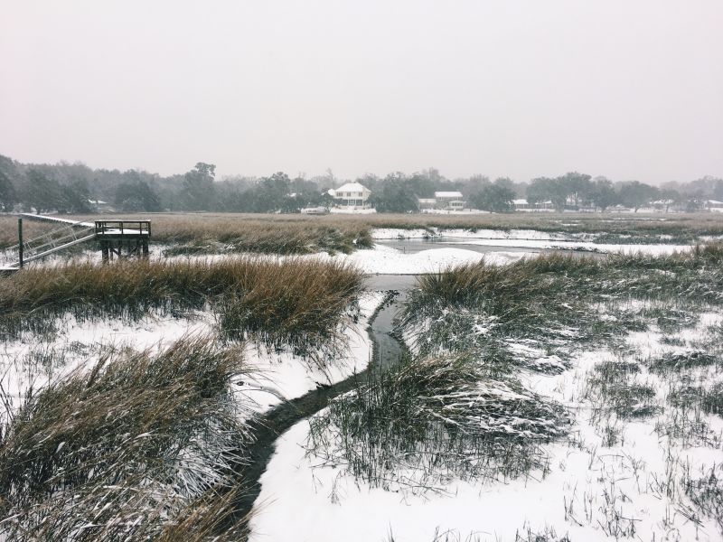 Photograph by Catherine Lowe