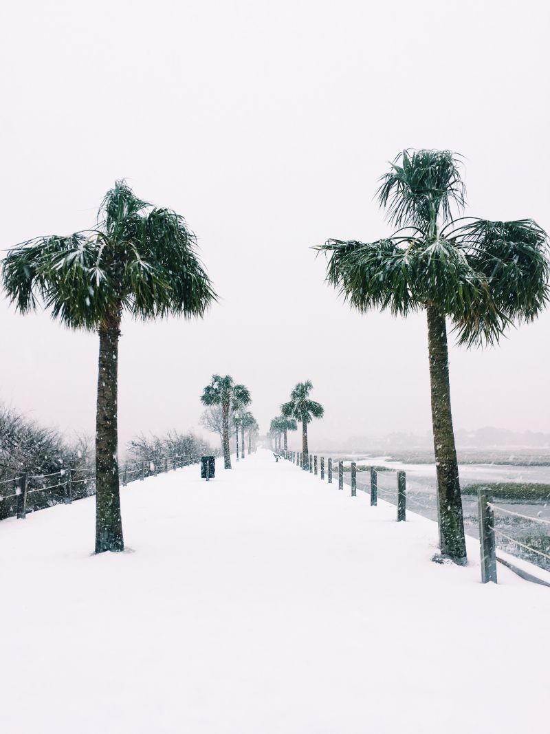 Photograph by Catherine Lowe